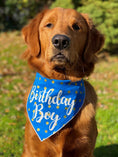 Load image into Gallery viewer, Birthday Boy Dog Bandana
