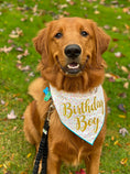 Load image into Gallery viewer, Birthday Boy Tie Dog Bandana
