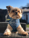 Load image into Gallery viewer, Birthday Dog Bandana Denim
