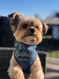 Load image into Gallery viewer, Birthday Dog Bandana Denim

