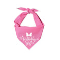 Load image into Gallery viewer, Birthday Girl Pink
