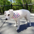 Load image into Gallery viewer, Birthday Girl Pink Heart Dog Bandana
