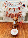 Load image into Gallery viewer, Birthday Girl Sprinkles Dog Bandana
