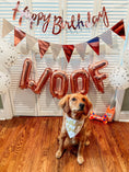 Load image into Gallery viewer, Birthday Girl Sprinkles Dog Bandana
