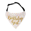 Load image into Gallery viewer, Birthday Girl Sprinkles Dog Bandana
