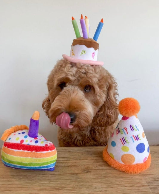 Happy Birthday Pawty Hat Toy