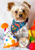 Load image into Gallery viewer, Happy Birthday Pawty Hat Toy
