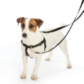 Load image into Gallery viewer, Kiss The Dog Freedom No-Pull Dog Harness – Earthstyle
