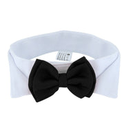 Adjustable Black-Tie Dog Collar