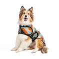 Load image into Gallery viewer, Black Canyon Dog Blanket Coat

