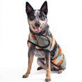Load image into Gallery viewer, Black Canyon Dog Blanket Coat
