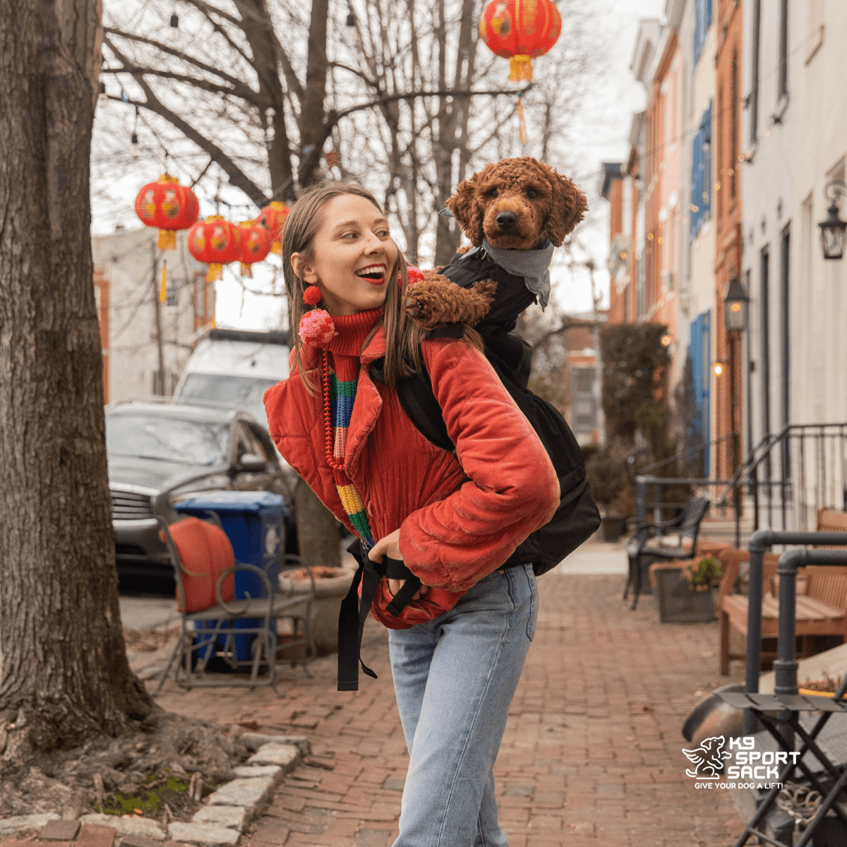 Knavigate | Advanced Dog Carrier with Internal Frame & Hip Belt