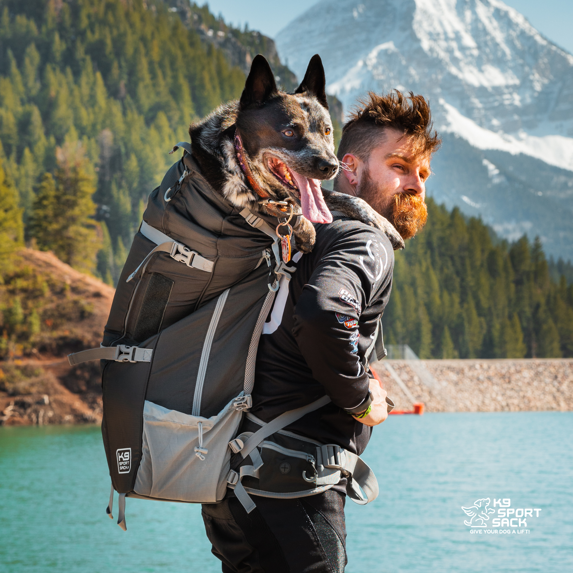 Kolossus | Big Dog Carrier & Backpacking Pack 