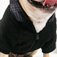 Load image into Gallery viewer, Frenchie Dog Hoodie - Black Plaid
