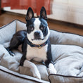 Load image into Gallery viewer, Black Tartan Dog Collar
