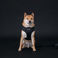 Load image into Gallery viewer, Frenchie Duo Reversible Harness - Black
