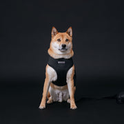 Frenchie Duo Reversible Harness - Black