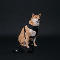 Load image into Gallery viewer, Frenchie Duo Reversible Harness - Black
