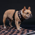 Load image into Gallery viewer, Frenchie Duo Reversible Harness - Black
