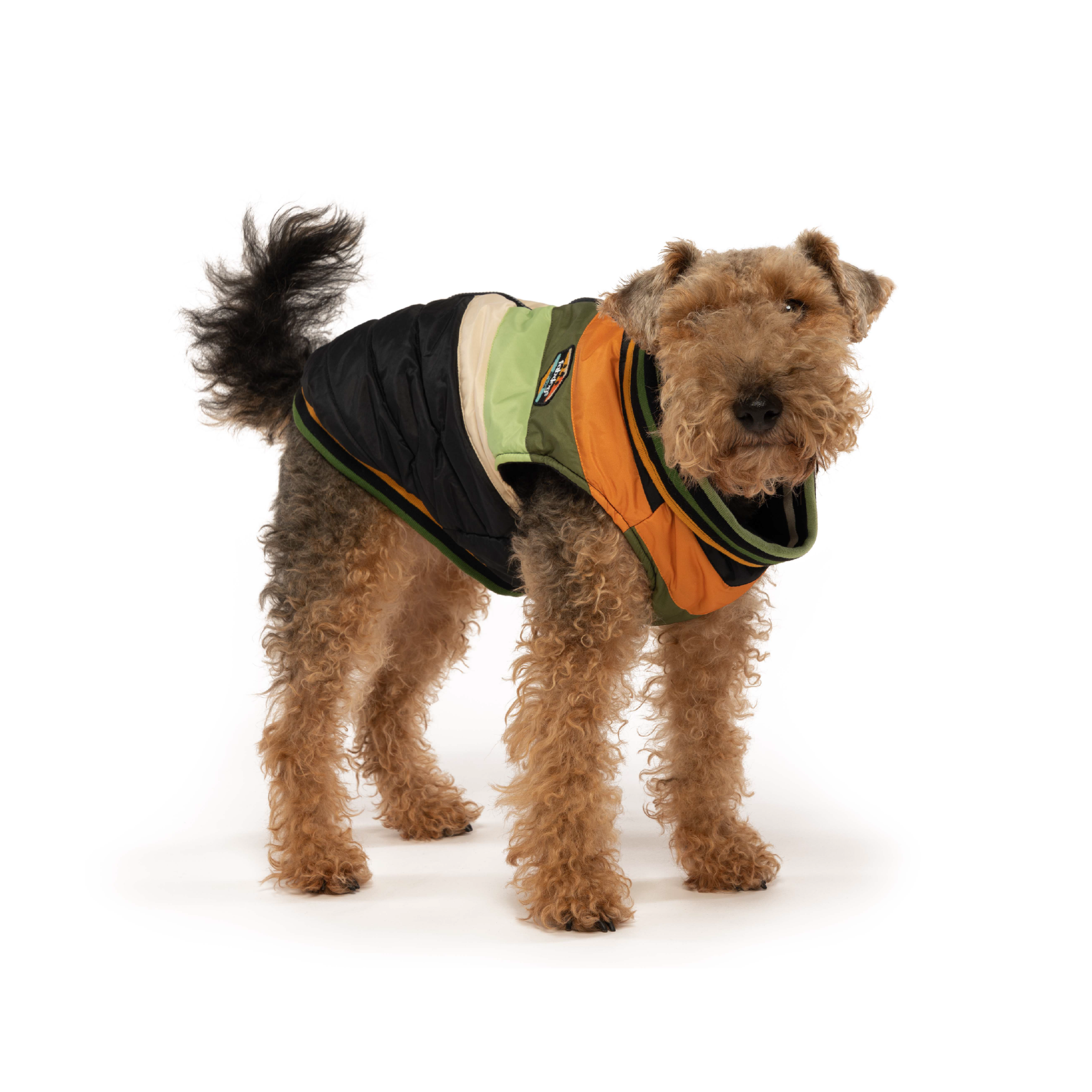 Black Chevron Jacket - Southlake Paws
