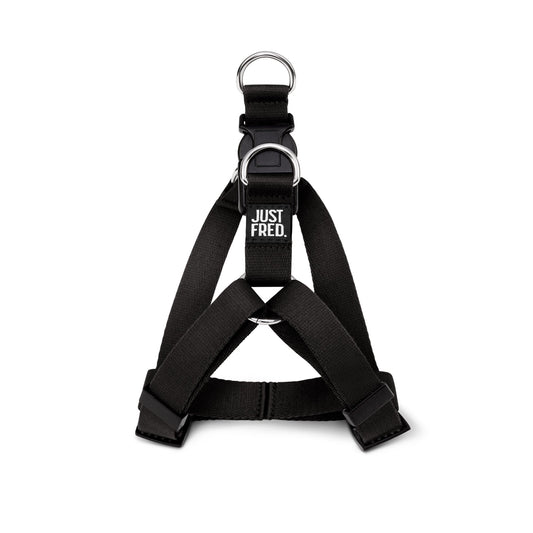 Step In Harness. 