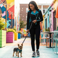 Load image into Gallery viewer, Black Dog Leash by EcoBark - Comfort Grip Padded Leash - 5ft for Small and Medium Dogs
