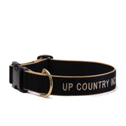Color Market Dog Collar - Extra Wide 1.5