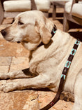 Load image into Gallery viewer, Product image of Black with Turquoise Dog Leashe
