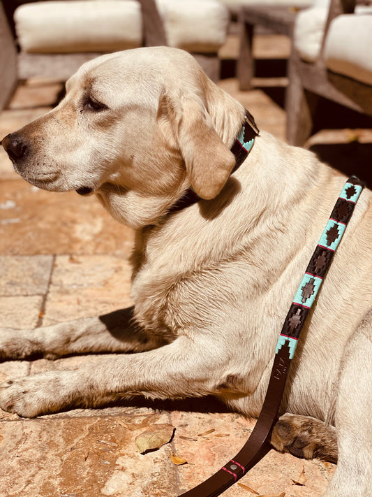 Product image of Black with Turquoise Dog Leashe