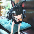 Load image into Gallery viewer, Bling Black Dog Party Dress - Southlake Paws
