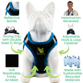 Load image into Gallery viewer, EcoBark Step In Dog Harness - XXXS to Small Breeds- Reflective Soft Mesh Harness for Teacup, Small Dogs and Puppies / Black w/ Teal Piping
