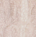 Load image into Gallery viewer, Blanket, Fawn Rosewater 
