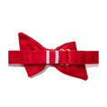 Load image into Gallery viewer, Blaze Dog Babe Bow
