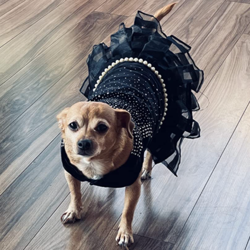 Bling Black Dog Party Dress - Southlake Paws