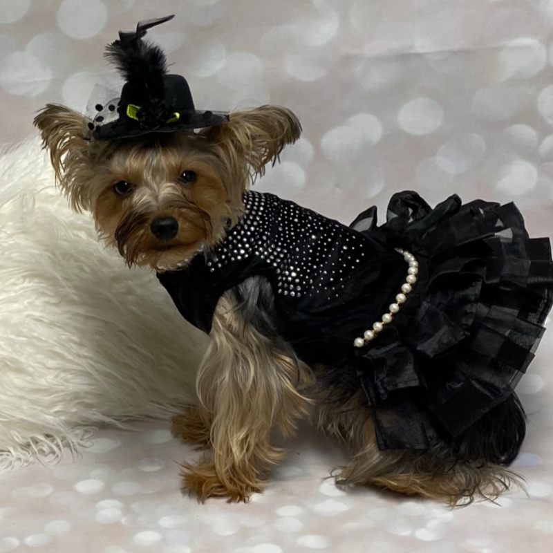 Bling Black Dog Party Dress - Southlake Paws