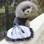 Bling Black & White Lace Dog Dress