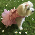 Load image into Gallery viewer, Bling Dog Harness Dress & Leash Set - Southlake Paws
