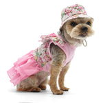 Blossom Dress