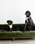 Load image into Gallery viewer, Satin Collar Bow - Blossom
