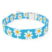 Blue Daisy Dog Collar