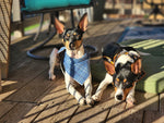 Blue Luxe Flannel Dog Bandana