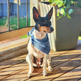 Load image into Gallery viewer, Blue Luxe Flannel Dog Bandana
