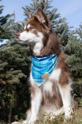 Load image into Gallery viewer, Blue Spruce Plaid Dog Bandana - Southlake Paws

