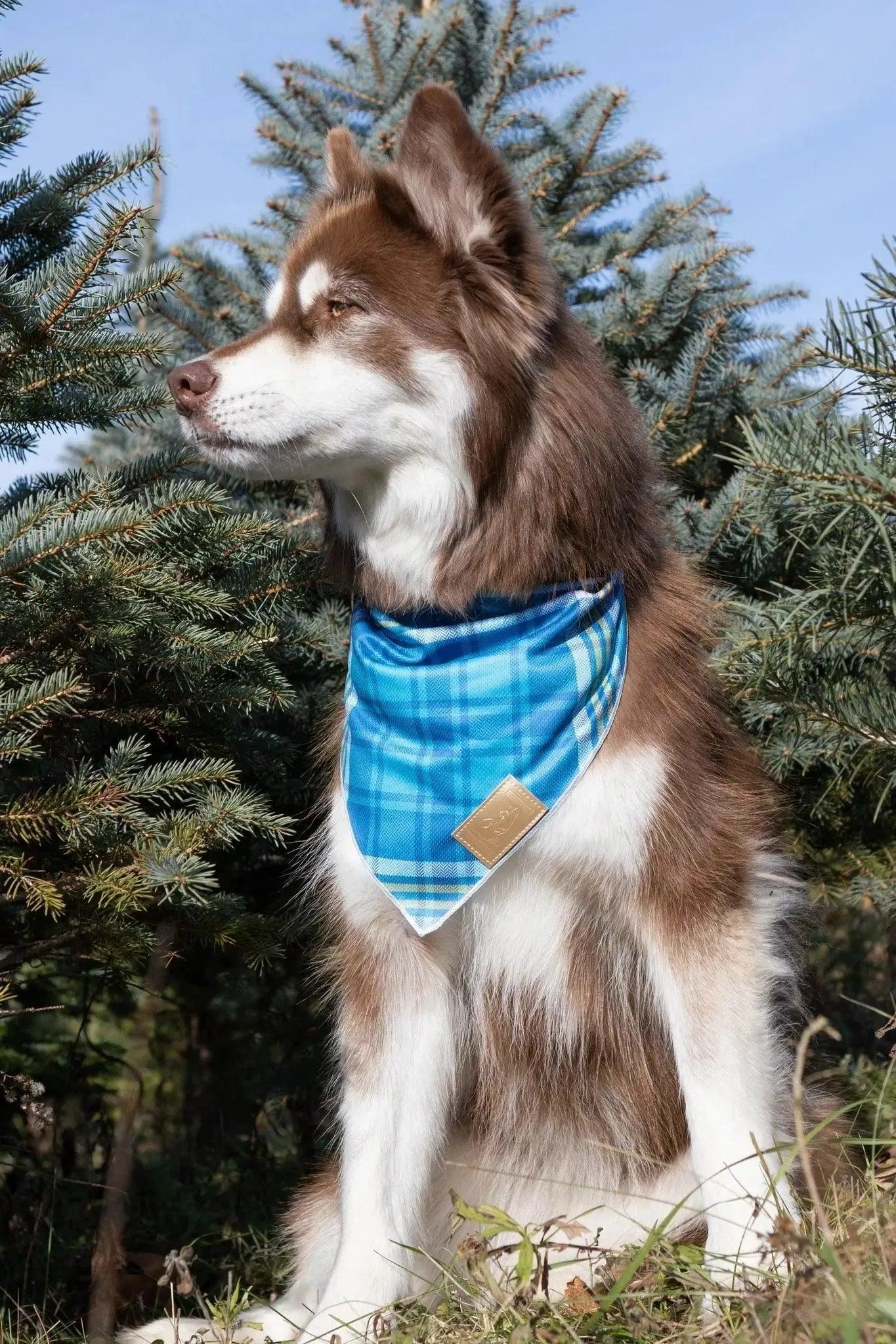 Blue Spruce Plaid Dog Bandana - Southlake Paws