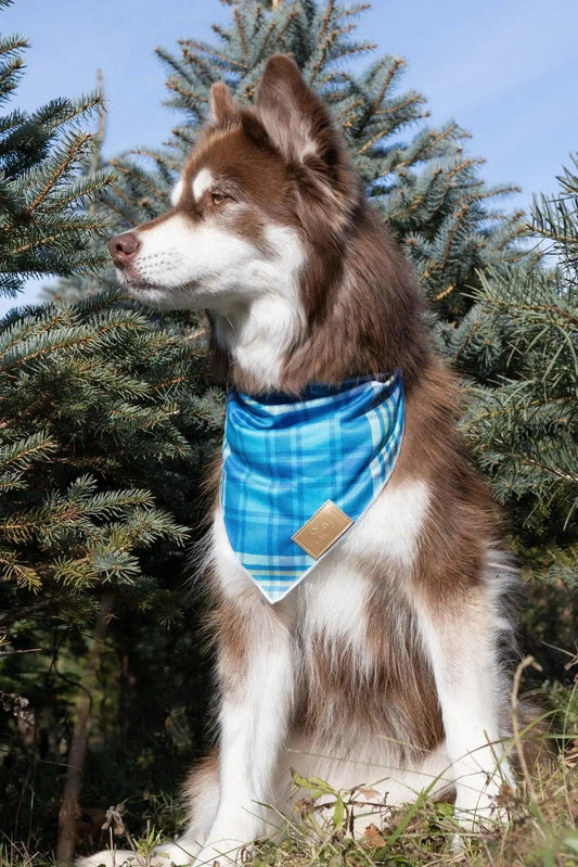 Blue Spruce Plaid Dog Bandana - Southlake Paws