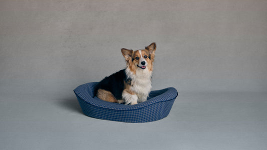 Timeless Dog Bed in Wren's Blueprint