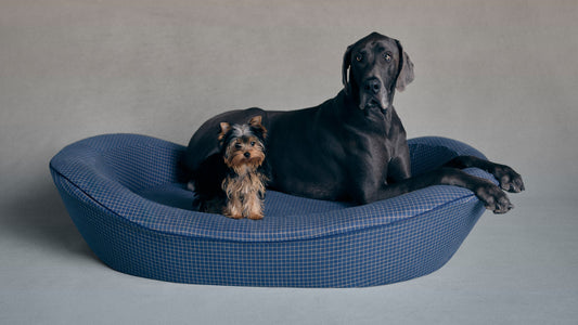 Timeless Dog Bed in Wren's Blueprint
