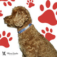 Load image into Gallery viewer, Fabric Dog Collar - Blue
