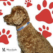 Fabric Dog Collar - Blue