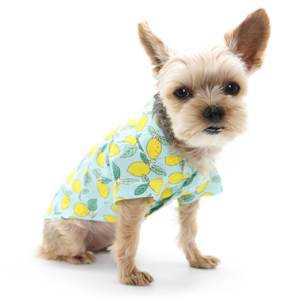 Blue Lemon Shirt